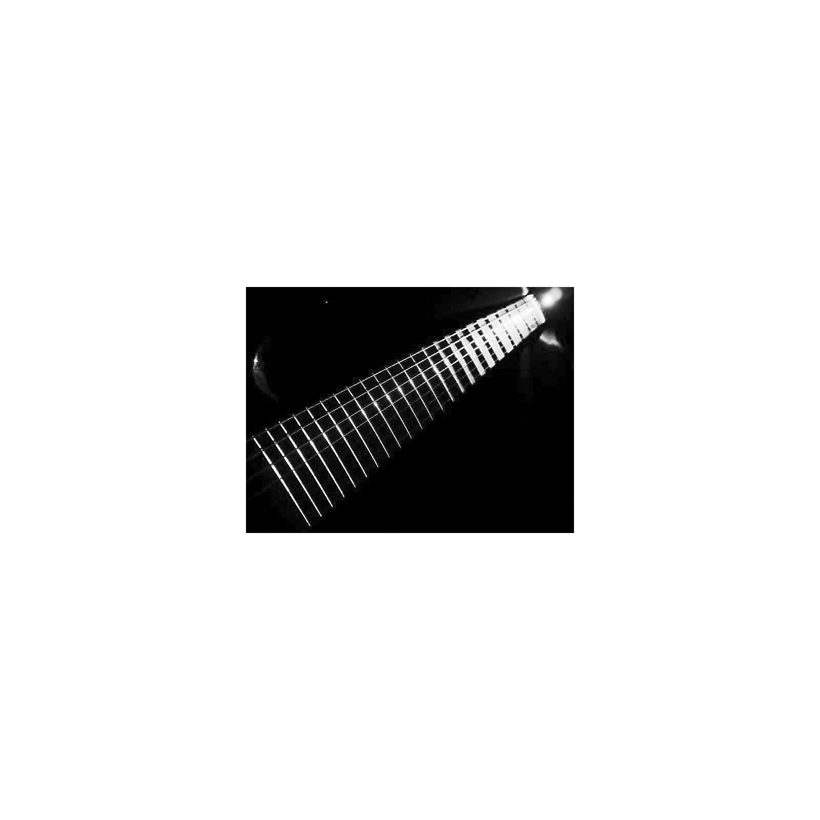 Fretlord FretLightZ Fretboard Illuminator LED Light Musician's Friend