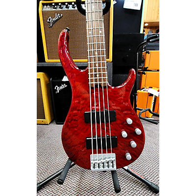 Peavey Fury V Electric Bass Guitar