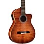 Cordoba Fusion 12 Exotic Top Nylon-String Classical Acoustic-Electric Guitar Cinnamon Burst