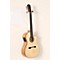 Fusion 14 Maple Acoustic-Electric Nylon String Classical Guitar Level 3 Natural 190839015440