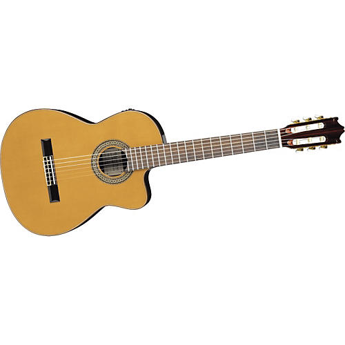 G Series G480ECENT Classical Acoustic-Electric Guitar