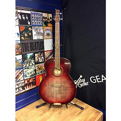 Riversong Guitars G2 SPECIAL EDITION Acoustic Electric Guitar