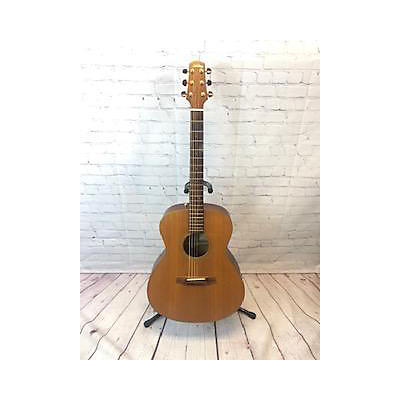 Walden G2070 Acoustic Guitar