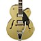 G2420T Streamliner Single Cutaway Hollowbody with Bigsby Level 1 Gold Dust