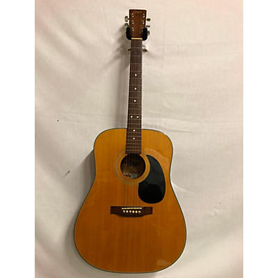 Goya G300N Acoustic Guitar