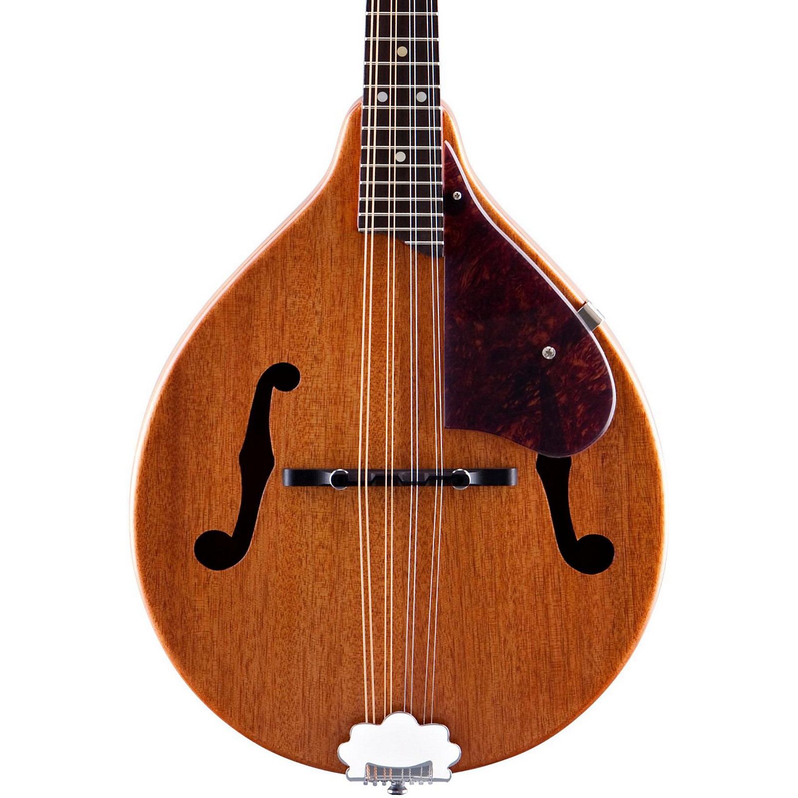 Gretsch Guitars G9310 New Yorker Supreme Mandolin Musician's Friend