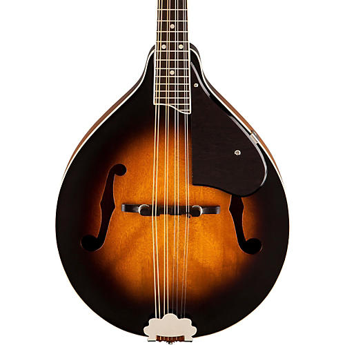 G9311 New Yorker Supreme Acoustic-Electric Mandolin