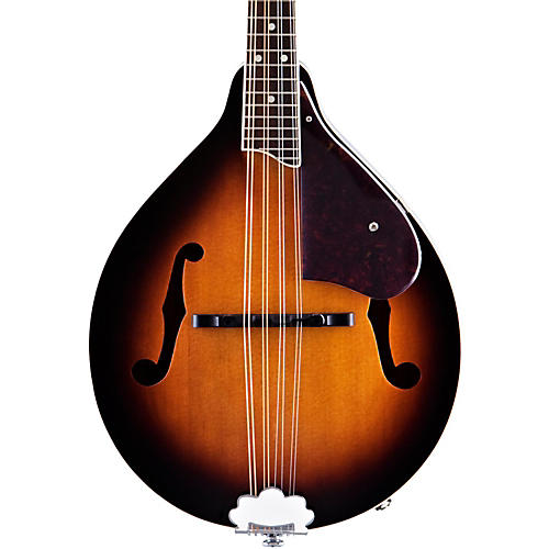 G9320 New Yorker Deluxe Acoustic-Electric Mandolin