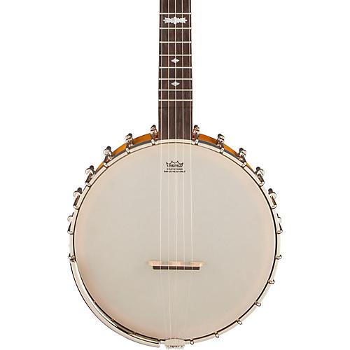 G9455 Dixie Special Banjo