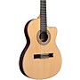Ibanez GA Series GA34STCE Thinline Solid Top Classical Acoustic-Electric Guitar Natural