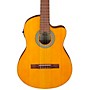 Ibanez GA3ECE Cutaway Acoustic-Electric Guitar Amber