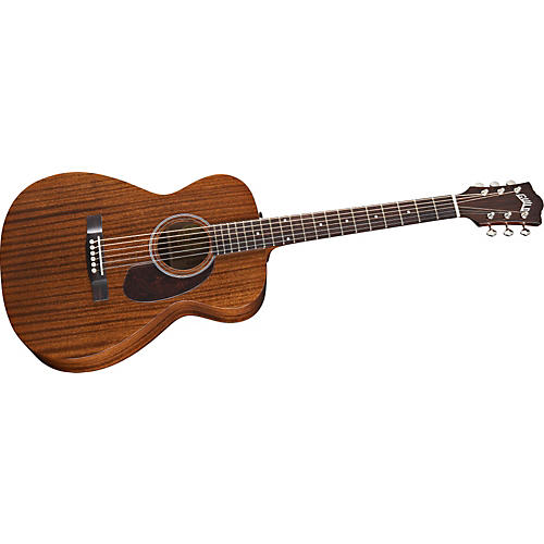 GAD-M20E Acoustic-Electric Guitar