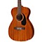 GAD Series M-120E Concert Acoustic-Electric Guitar Level 1 Natural