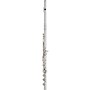 Giardinelli GFL11GS Open Hole Low B Performance Level Flute Offset G B-Foot