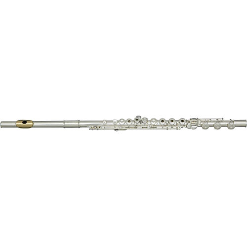GFL512 Intermediate Flute with Gold Lip Plate