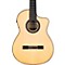 GK Pro Negra Acoustic-Electric Guitar Level 2  888365898155