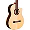 GK Studio Limited Flamenco Nylon Acoustic-Electric Guitar Level 2 Natural 190839063762