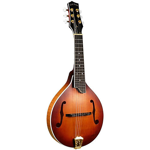GM-6+ 6-String Guitar Mandolin with Pickup