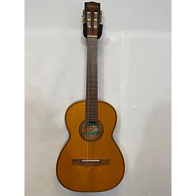 Giannini GN50 Acoustic Guitar