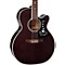 GN75CE Acoustic-Electric guitar Level 2 Transparent Black 888366045664