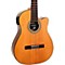 GNFLE CEQ N Cutaway Nylon String Acoustic-Electric Guitar Level 2 Natural 888366052822