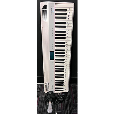 Roland GO-61P-A Portable Keyboard