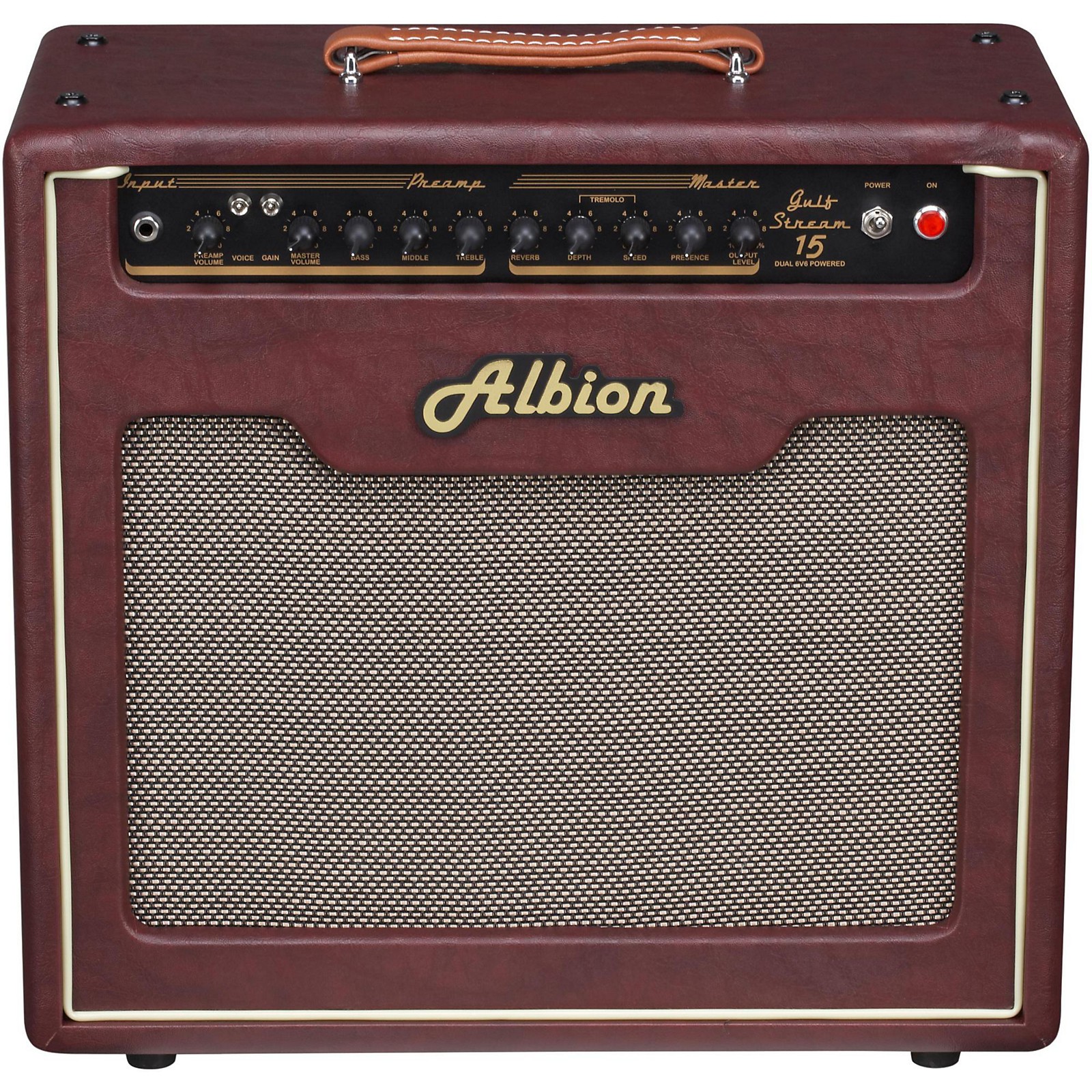 Albion Amplification GS Series 20W 1x12 Guitar Combo Amp Musician's