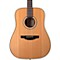 GS330S Acoustic Guitar Level 1 Natural