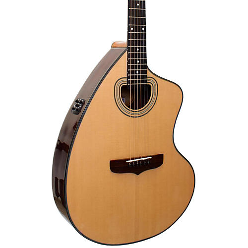 giannini 12 string craviola