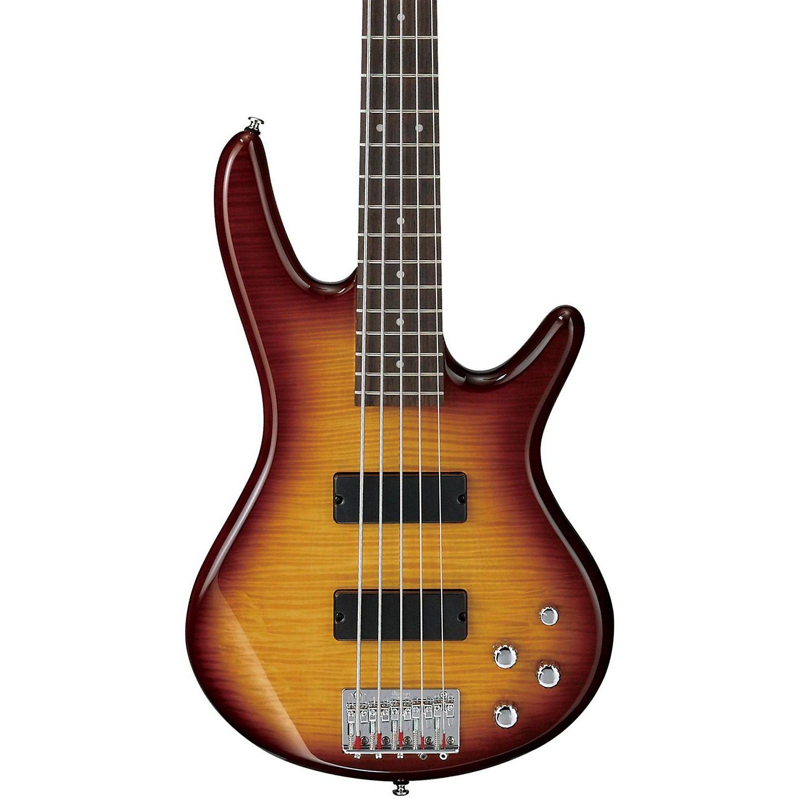 What Is A 5 String Guitar Called