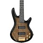 Ibanez GSR205PC 5-String Electric Bass Guitar Transparent Pale Black Burst