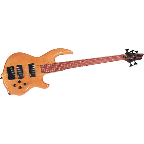 GT-5 5-String Bass