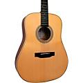 Gold Tone GT-Dread All Solid Wood Dreadnought Acoustic-Electric Guitar BurstNatural