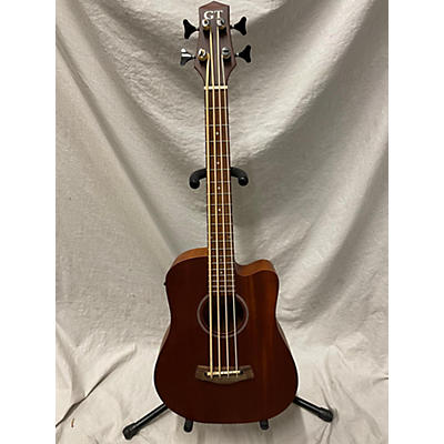 Gold Tone GT Series M-Bass Acoustic Bass Guitar