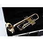 Open-Box Giardinelli GTR-300 Student Bb Trumpet Condition 3 - Scratch and Dent  197881149048