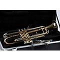 Giardinelli GTR-300 Student Bb Trumpet Condition 3 - Scratch and Dent  197881149048Condition 3 - Scratch and Dent  197881177065