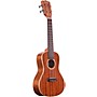 Open-Box Kala Gloss Solid Mahogany Concert Ukulele Condition 2 - Blemished Natural 197881362522