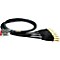 Gold 8 Channel DB25-TRS Snake Cable Level 1 2 ft.