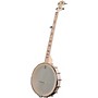Open-Box Deering Goodtime Americana Nickel Banjo Condition 1 - Mint 12 In. Rim