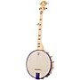 Deering Goodtime Jr. Openback Banjo Sinbad Purple