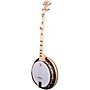 Deering Goodtime Special Resonator Banjo