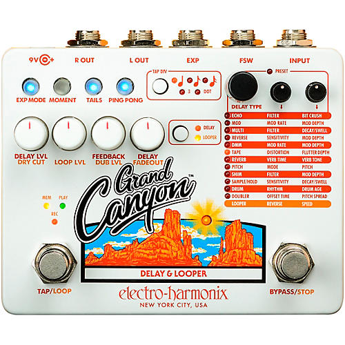 Electro-Harmonix Grand Canyon Delay and Looper Effects Pedal Condition 2 - Blemished  197881153434