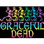 C&D Visionary Grateful Dead Skelly & Rainbow Magnet