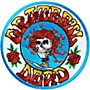 C&D Visionary Grateful Dead Skull & Roses Patch