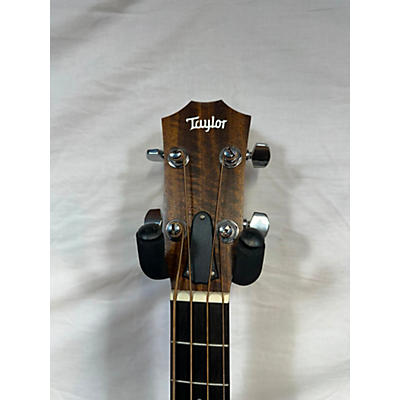 Taylor Gs Mini Bass Acoustic Bass Guitar