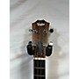 Used Taylor Gs Mini Bass Acoustic Bass Guitar Natural