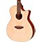 Gypsy Flame Folk Acoustic Guitar Level 2 Regular 190839055095