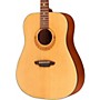 Luna Guitars Gypsy Muse Acoustic Guitar Package
