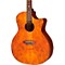 Gypsy Spalt Grand Concert Acoustic Guitar Level 2  888365358505