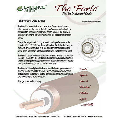 Evidence Audio The Forte Instrument Cable 10 Ft Right To Straight Musician S Friend